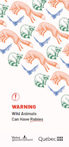 Image de la couverture du document.
